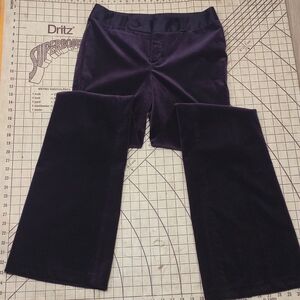 Purple Velvet Banana Republic Martin Fit 8L